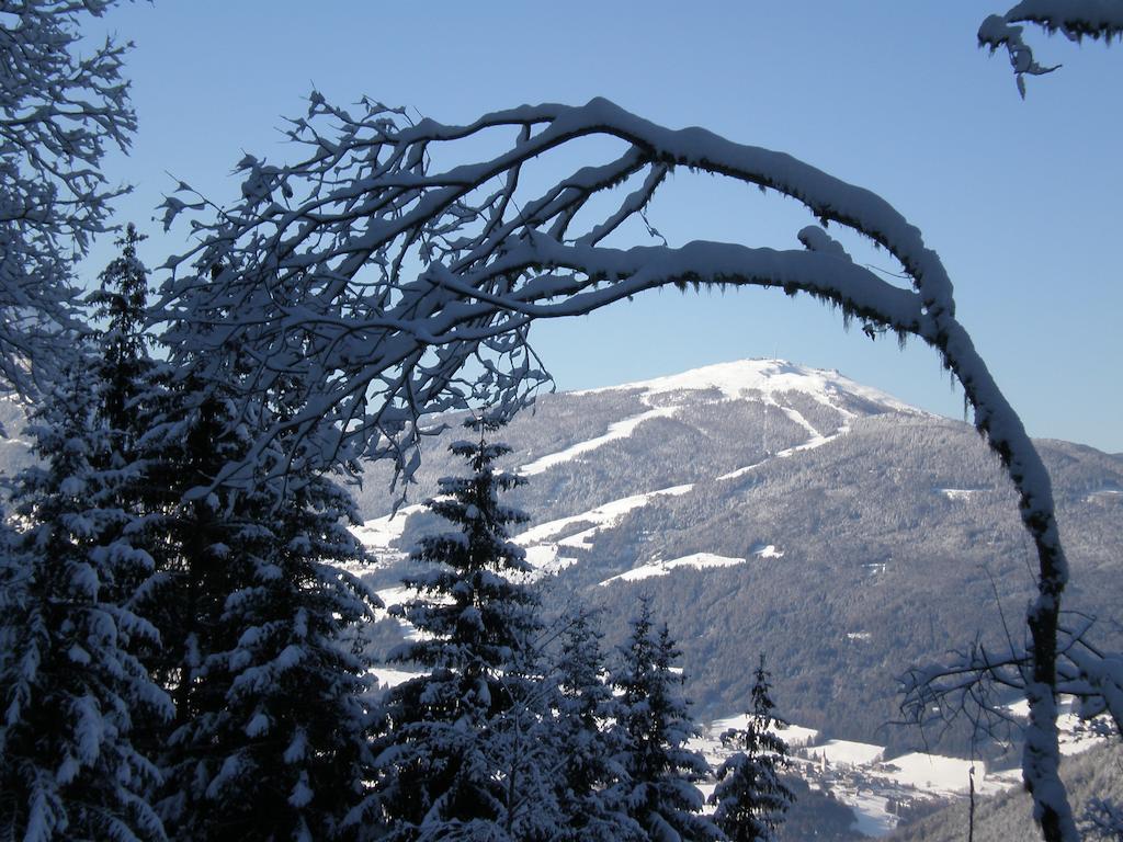 Oberlechnerhof Rasun di Sopra Exterior photo